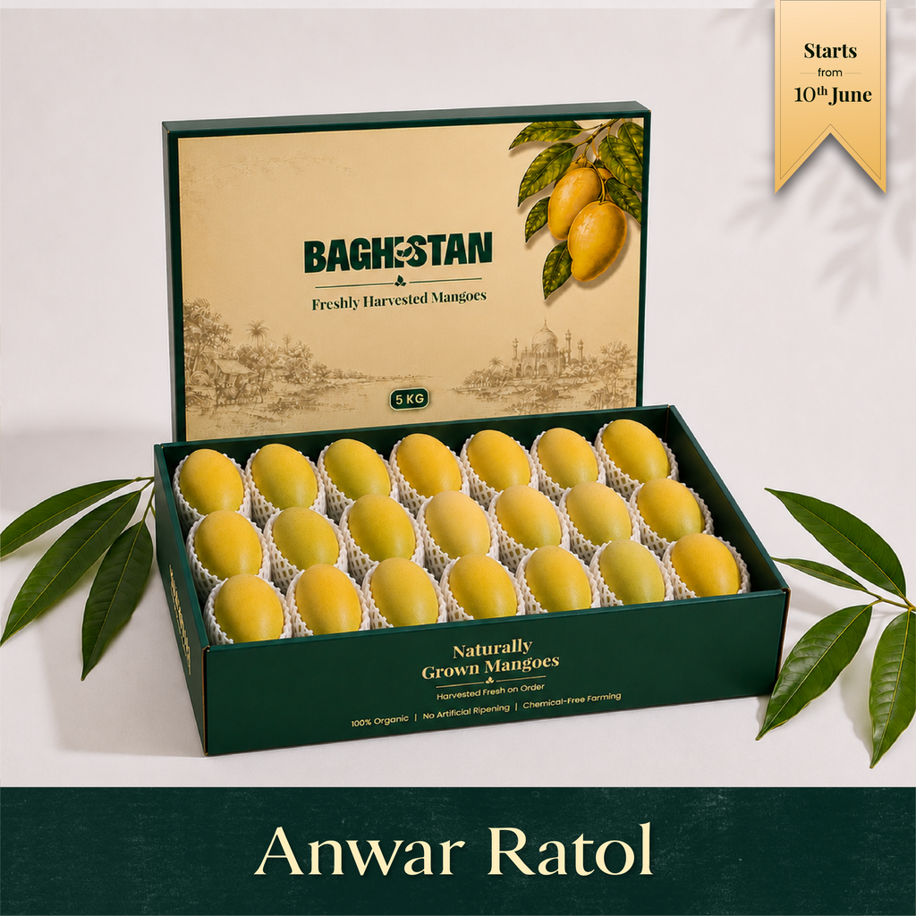 Organic Anwar Ratol Mango | Pre-Booking, Harvesting from 10th June