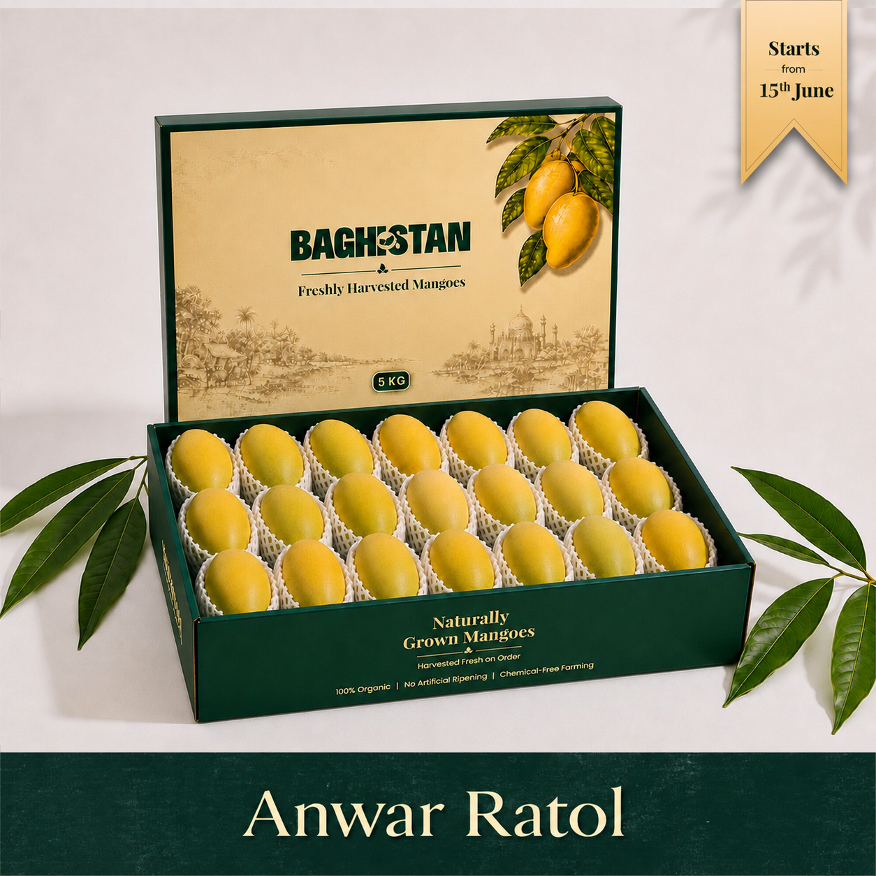 Organic Anwar Ratol Mango | Pre-Booking, Harvesting from 10th June