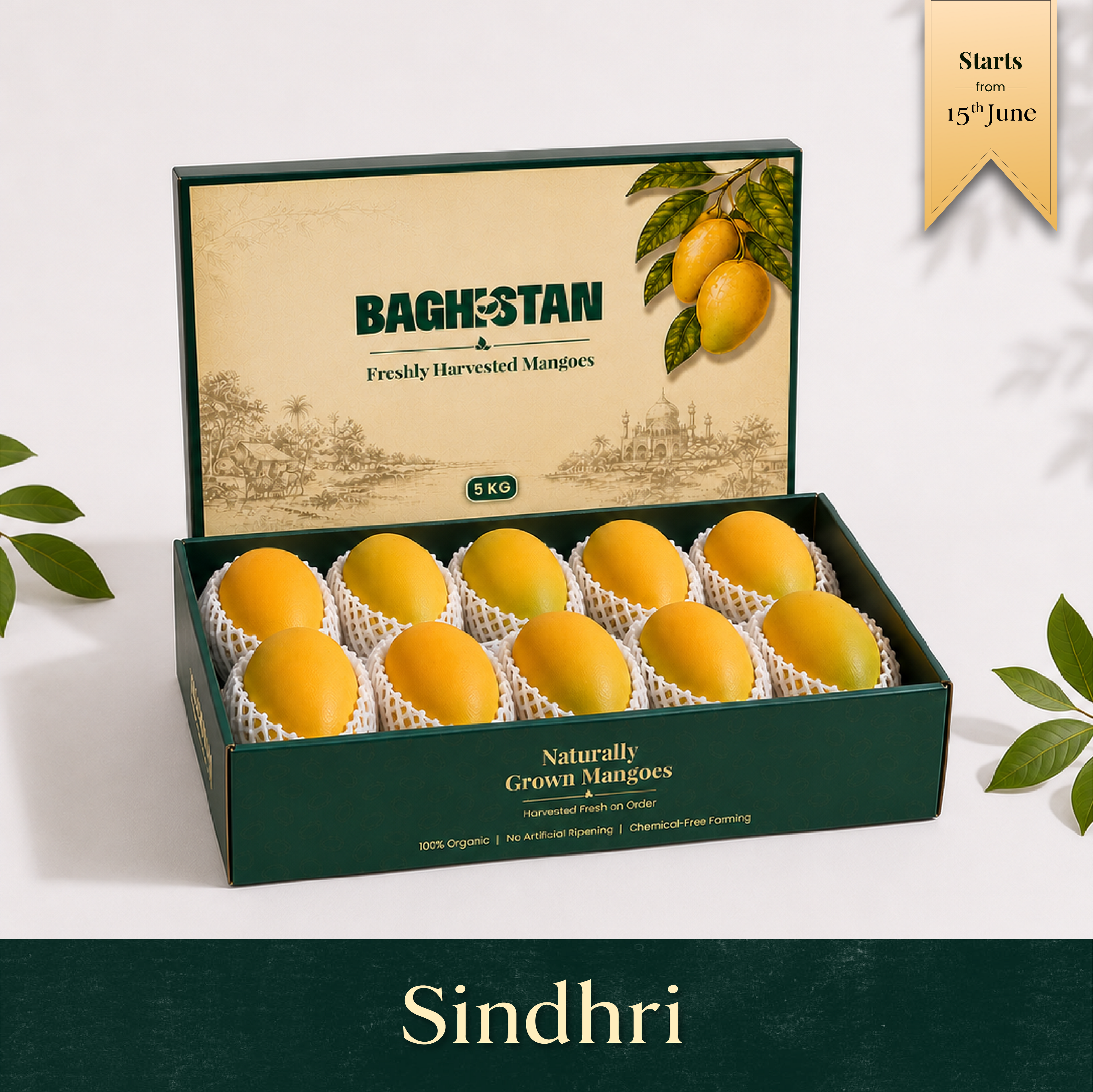 Organic Sindhri Mango | Pre-Booking, Harvesting from 15th June
